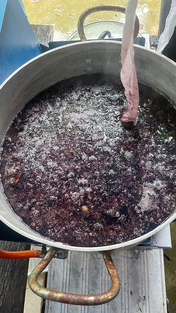 Blackberries heating on a stove